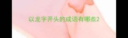 以龙字开头的成语有哪些