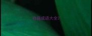 有趣成语大全