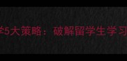 对外汉语课堂成语教学5大策略破解留学生学习难点与高效应用技巧
