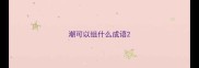 潮可以组什么成语