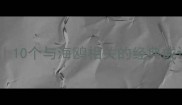鸥鸟成语合集10个与海鸥相关的经典成语及深层寓意