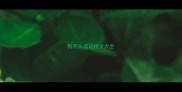到开头成语接龙大全