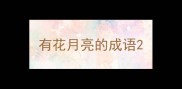 有花月亮的成语