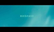 到老鼠的成语