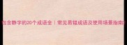 包含静字的20个成语全常见易错成语及使用场景指南