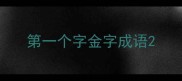 第一个字金字成语