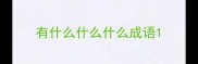 有什么什么什么成语