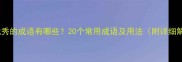 形容优秀的成语有哪些20个常用成语及用法附详细解释