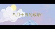 八月十五的成语