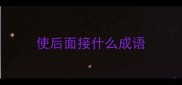 使后面接什么成语