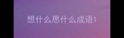 想什么思什么成语