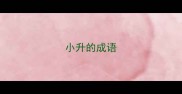 小升的成语