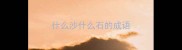 什么沙什么石的成语