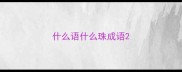 什么语什么珠成语