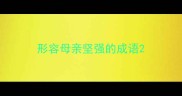 形容母亲坚强的成语