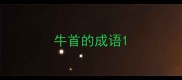 牛首的成语