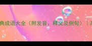 着字开头的经典成语大全附发音释义及例句高效学习指南