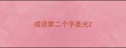 成语第二个字是光