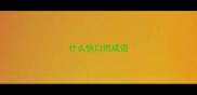 什么快口的成语