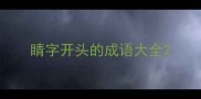 睛字开头的成语大全