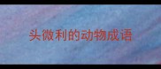 头微利的动物成语