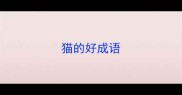 猫的好成语