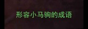 形容小马驹的成语