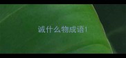 诚什么物成语