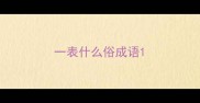 一表什么俗成语