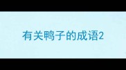 有关鸭子的成语