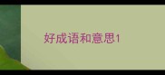 好成语和意思