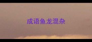 成语鱼龙混杂