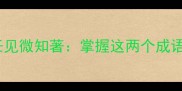 职场人必看知人善任见微知著掌握这两个成语的职场与生活智慧