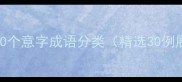 二100个意字成语分类精选30例展示