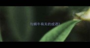 与蜗牛有关的成语