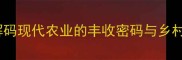 五谷丰登解码现代农业的丰收密码与乡村振兴新路径