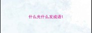 什么光什么发成语