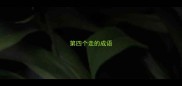 第四个走的成语