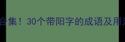 带阳自成语合集30个带阳字的成语及用法附例句