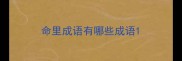 命里成语有哪些成语