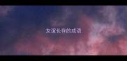 友谊长存的成语