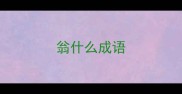 翁什么成语