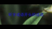 听字成语开头的成语