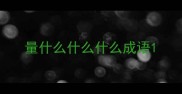 量什么什么什么成语
