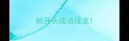 树开头成语接龙
