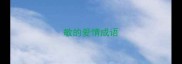 敏的爱情成语