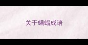 关于蝙蝠成语