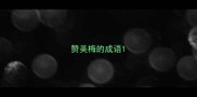 赞美梅的成语