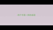 四个字是一样的成语