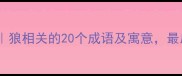 狼字成语合集狼相关的20个成语及寓意最后一个太狠了